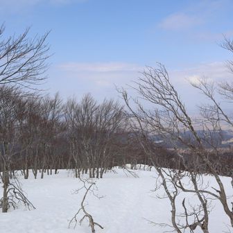 天気は午後から下り坂の予報です