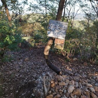須永山