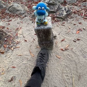 今日もお疲れ〜🐵🧦