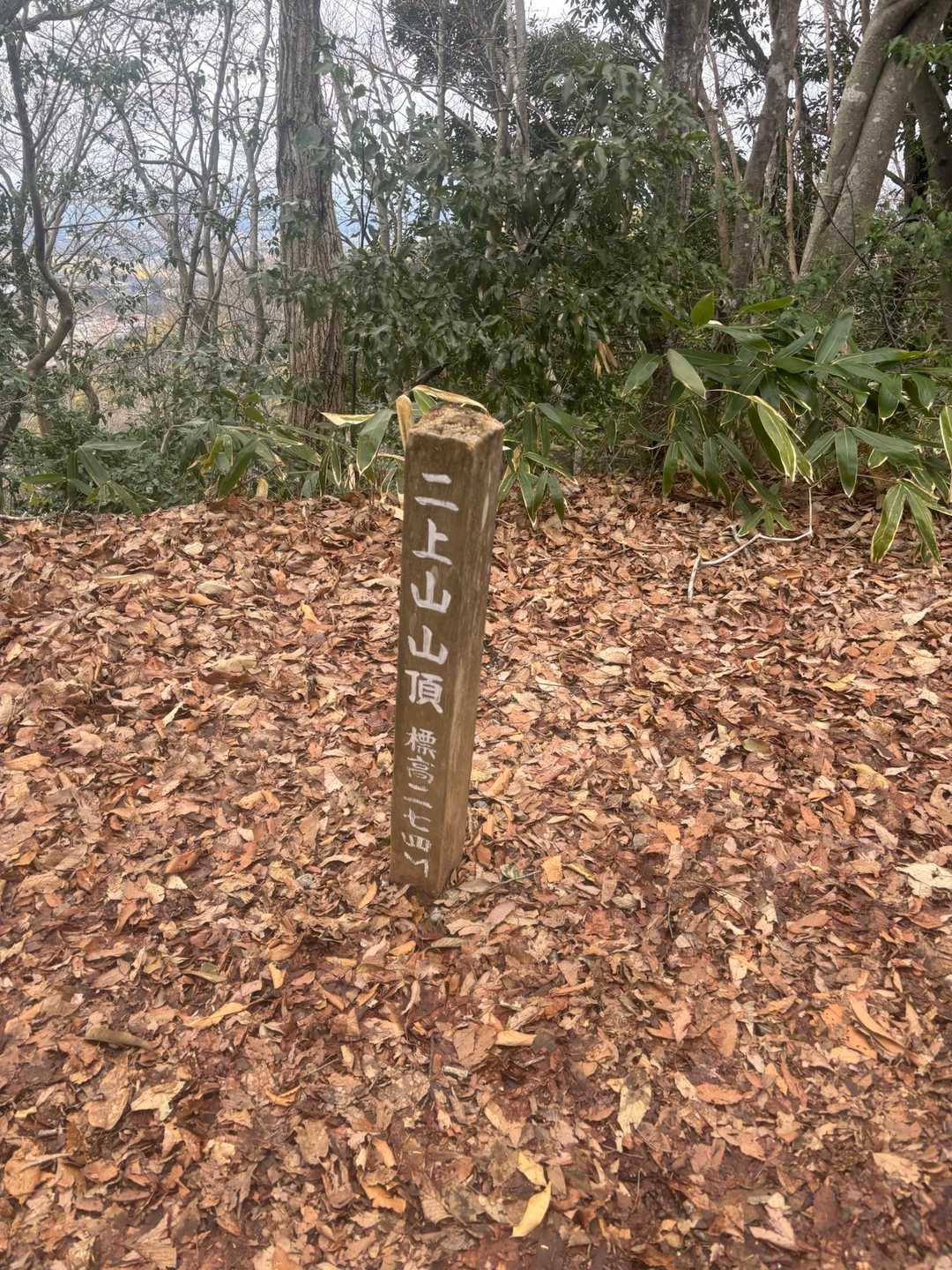 今日はスルー😅