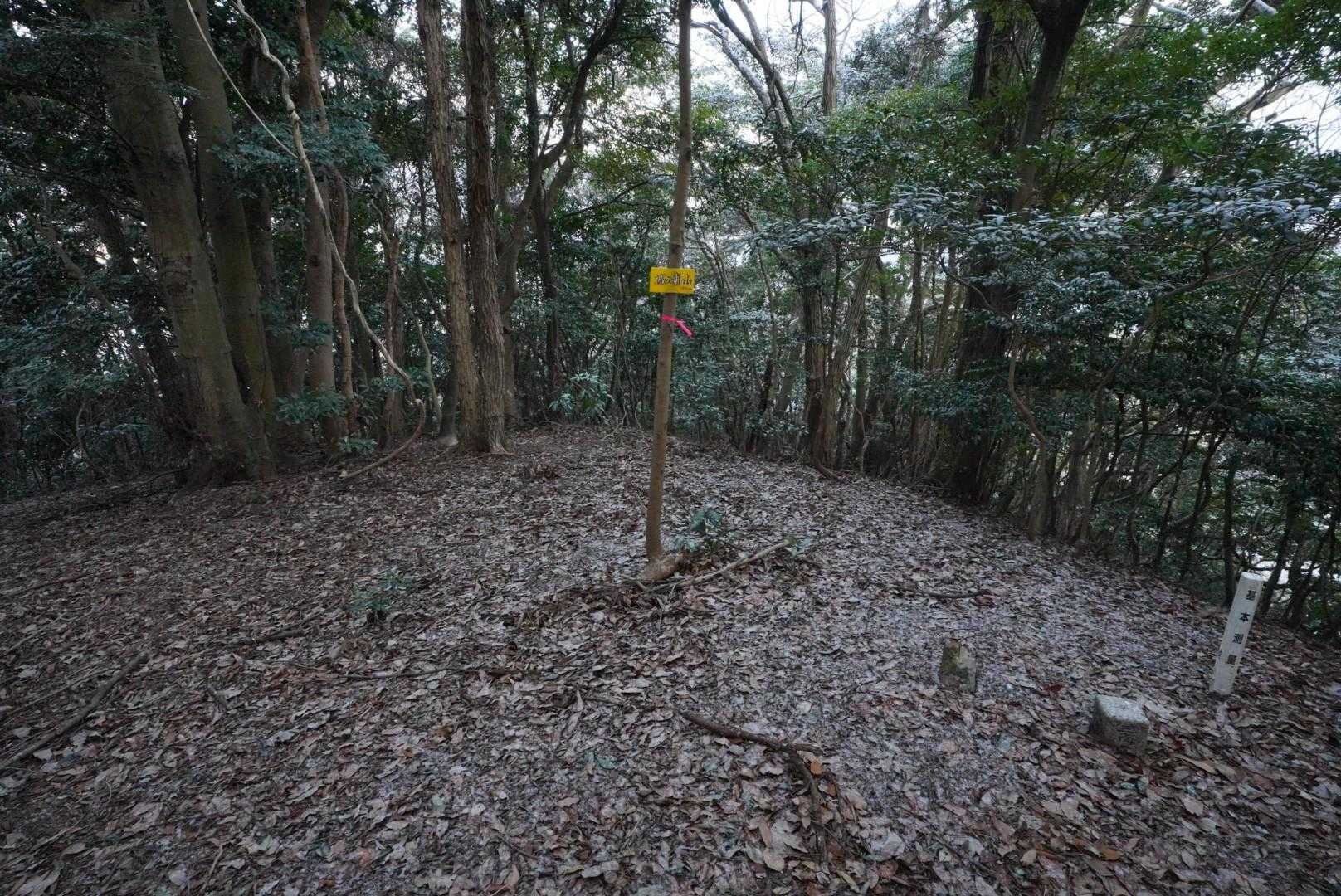 城ヶ浦山に到着
眺望はない。