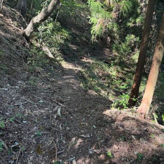 しかしpart２
上沢井バス停への道は
トラバースが崩れているところあります
慎重に歩けば大丈夫だけど怖かったー😭