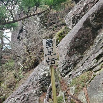 何とか山頂の大岩まできたよ😃