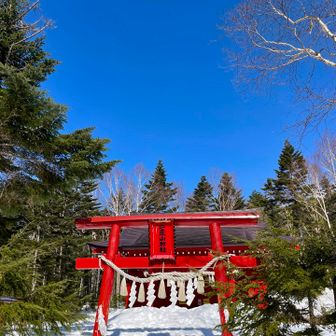 
ロープウェイを降り、
二荒山神社の鳥居  青空に映えますね～