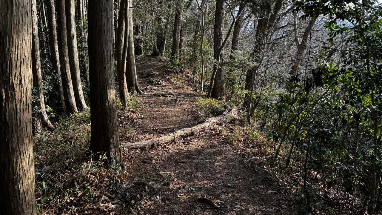 奥高尾〜裏高尾縦走（陣馬山・堂所山・富士見台・駒木野） の写真 62