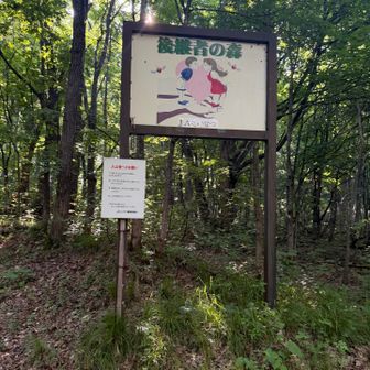 ここでもＪＡたいせつの看板🪧

自然は大切だと常々思います🥹