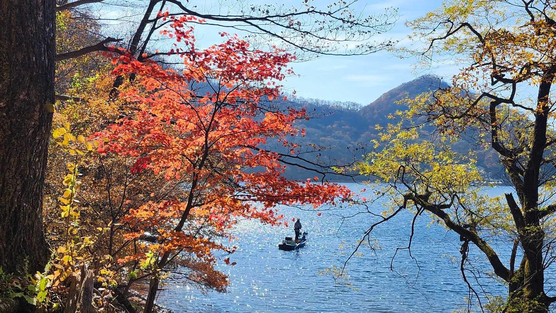榛名富士登山口-榛名富士-ロッジ前バス停 周回コースの写真