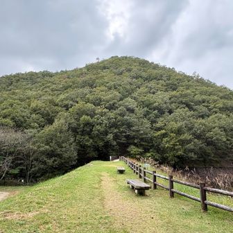 寒洞池のベンチとたった今下ってきた御坊山。