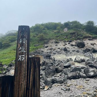 硫黄の香りが強いです♨️