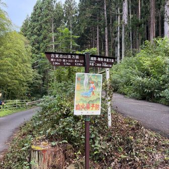 北コースから