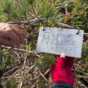 月山森、山頂🙌