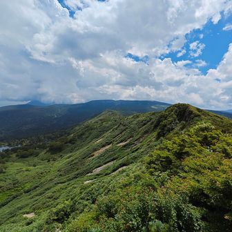 まもなく嶮岨森
