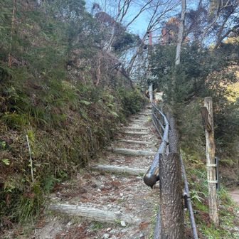 山から下山⛰️