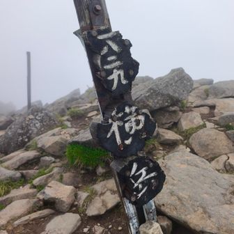 横岳登頂
こんな天気でもちらほらスライドする人いた。さすが八ヶ岳😁
