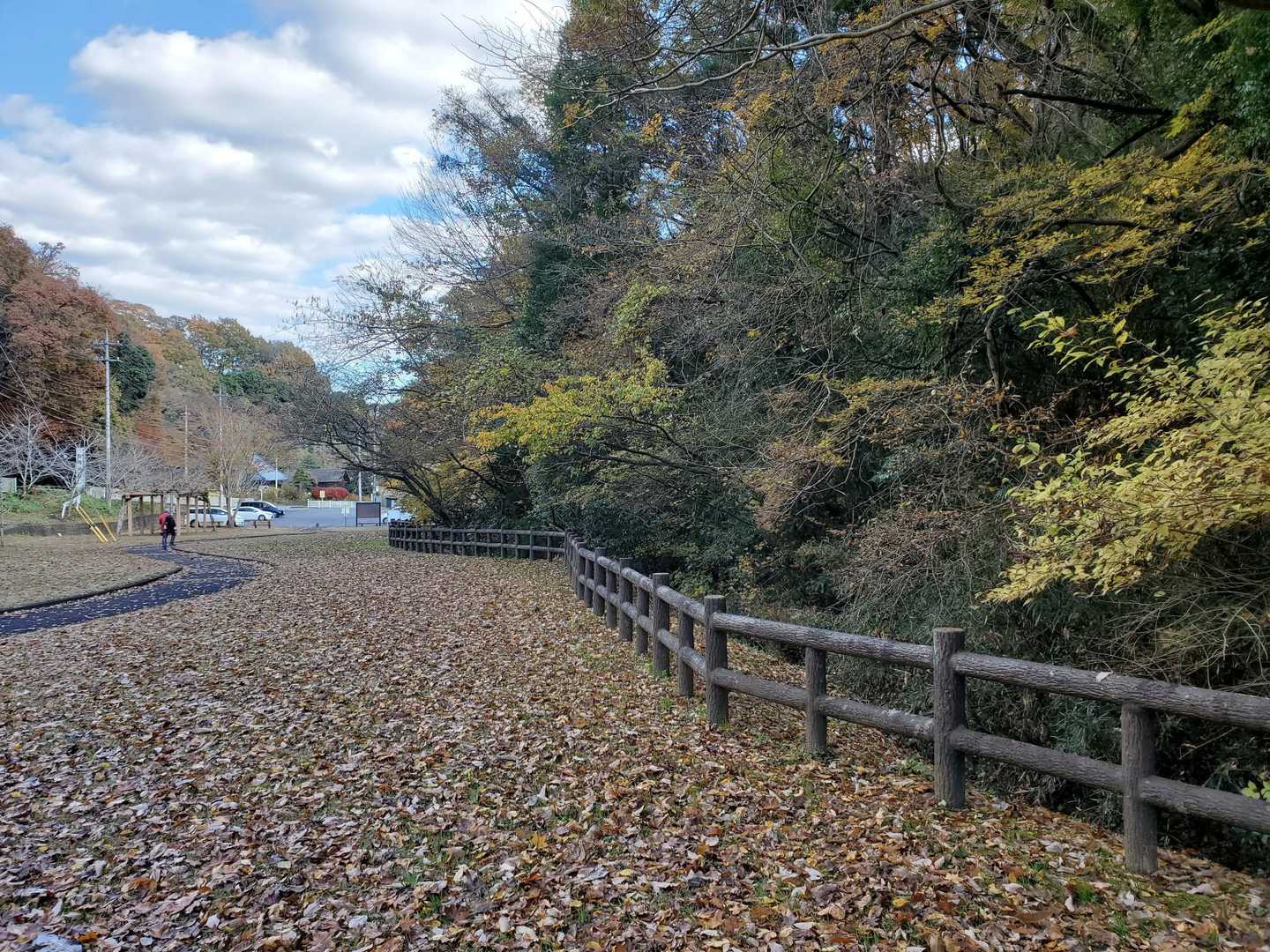 駐車場が見えて来ました🅿️🚗
秋らしく…落ち葉がいっぱいです🍂🍂✨️