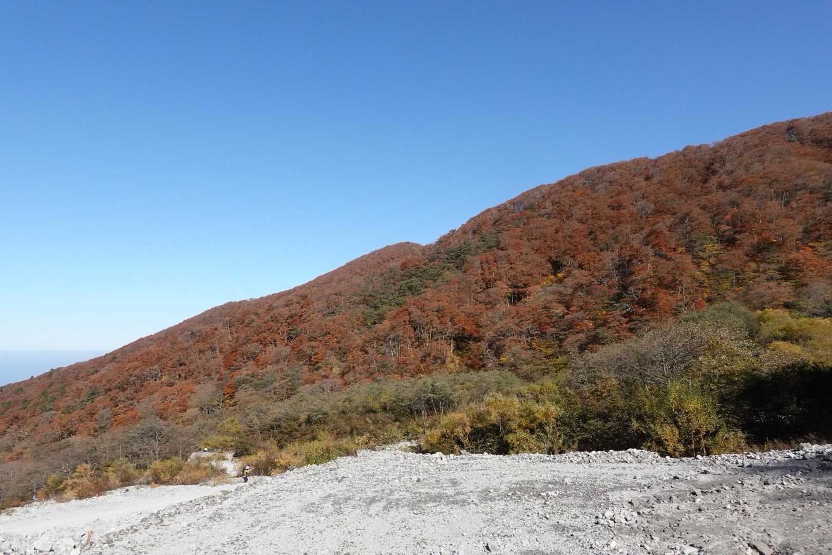 行者登山口-大山夏山登山口 周回コースの写真