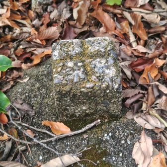 瑞龍寺山　山頂