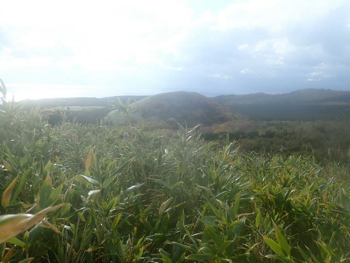 先ほど登ったメヌウショロポン山