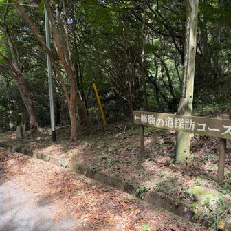 舗装路を約30分歩いて、やっと分岐に到着🛬
この先を右手にある