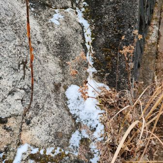 頂上付近は日陰に雪が残ってました