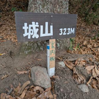 城山、久しぶりだね