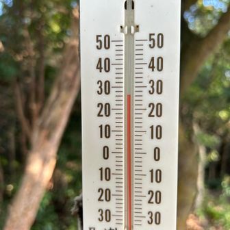 片縄山山頂は26℃超え
風がなく暑い