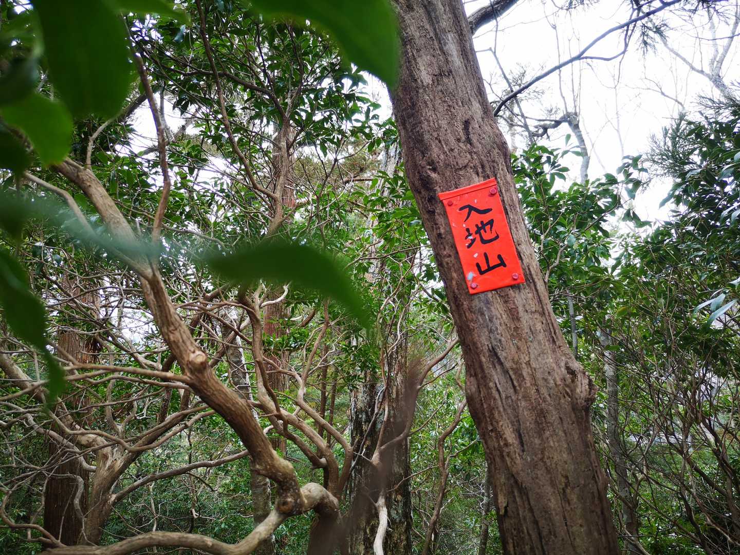 赤い入地山
前回は見つけられんかったハズ🤣