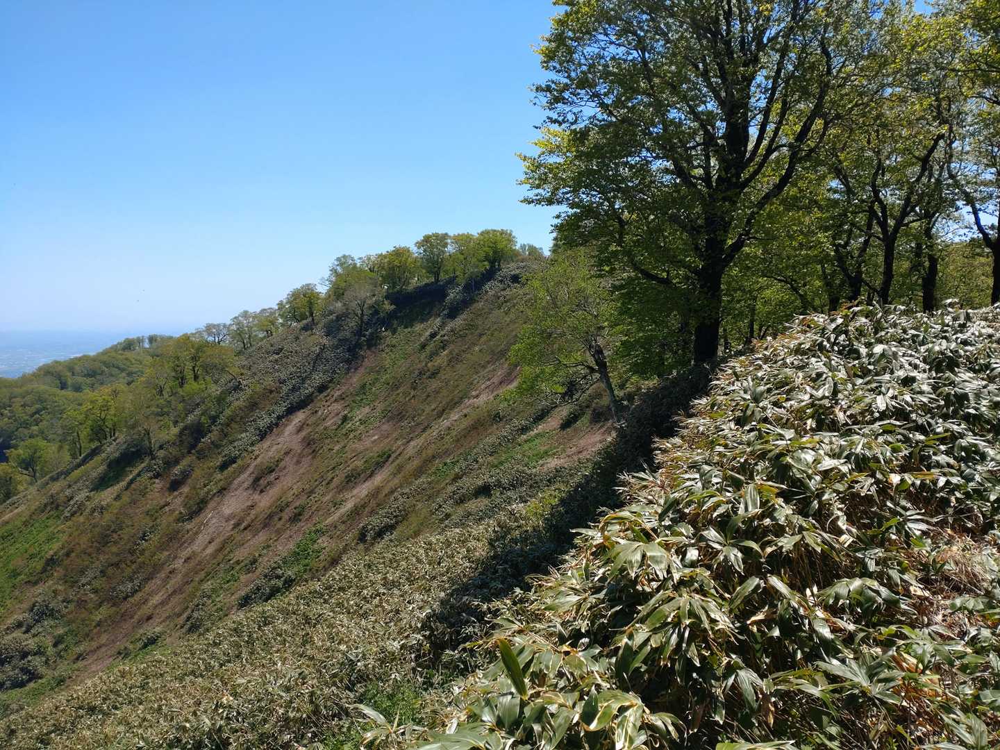 毛無って感じがしていいね～