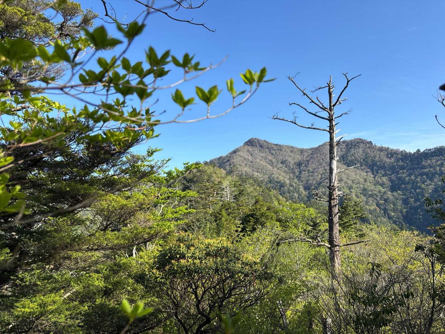目指す山頂