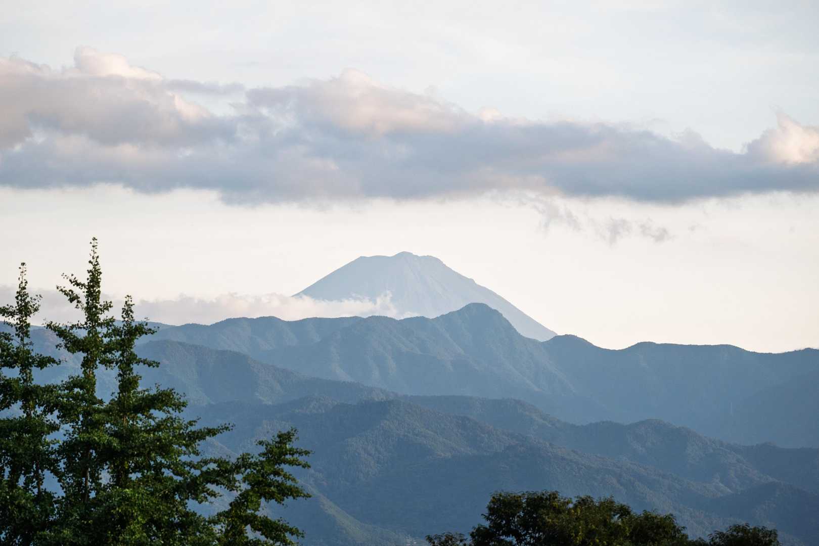 塩ノ山-向嶽寺 縦走コースの写真