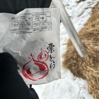 アイゼンを外していると雨が降ってきた
4日前に賞味期限の切れた栗ドラを食べる
餡子も栗もおいしいけれど少しパサつきがある