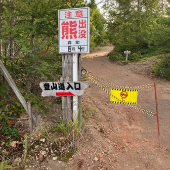 熊が出たんですって🧸