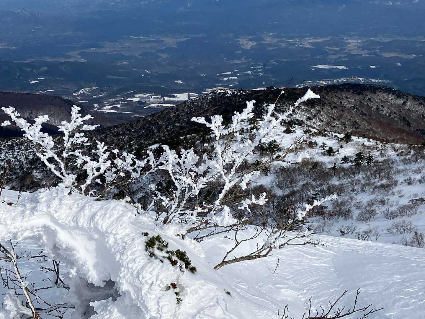 氷の造形が素敵