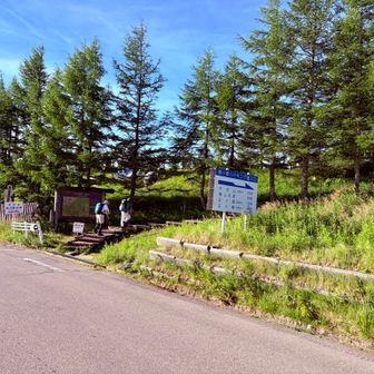 登山口からレッツGO！