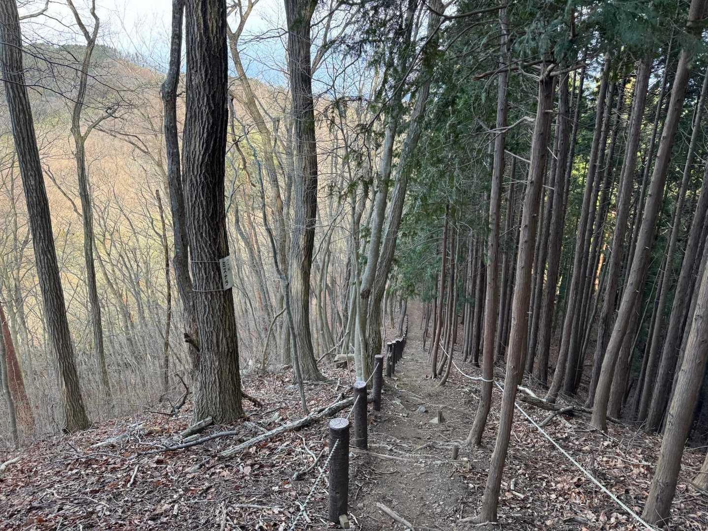 なるほど急登坂…🤔
整備されているがそれなりの斜度