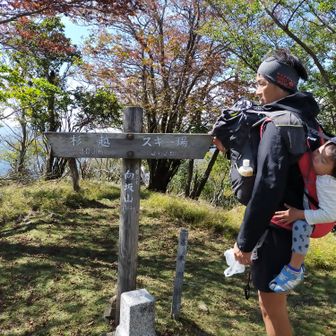 大分在住の熊本です