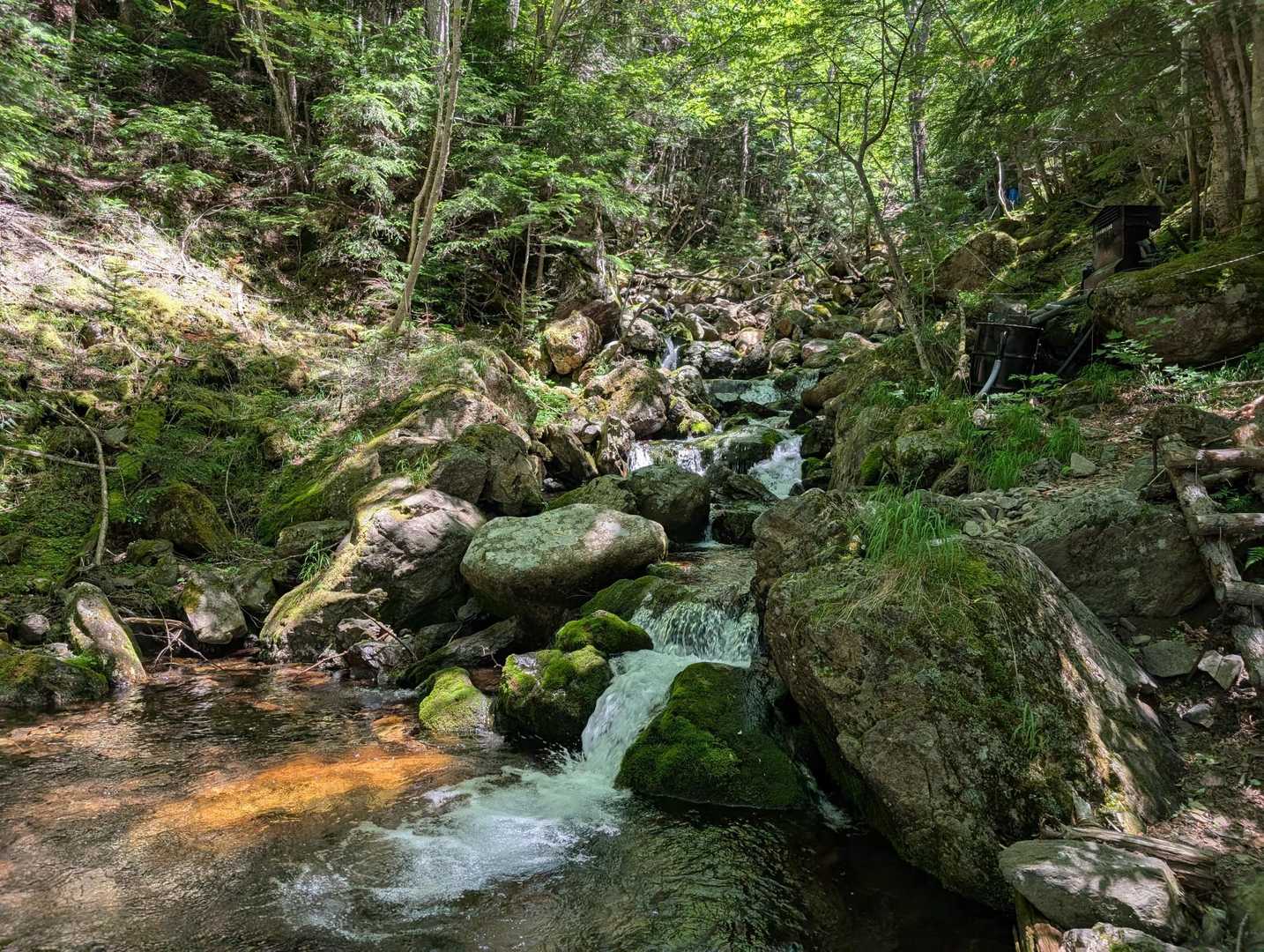 仙水峠-栗沢山 周回コースの写真