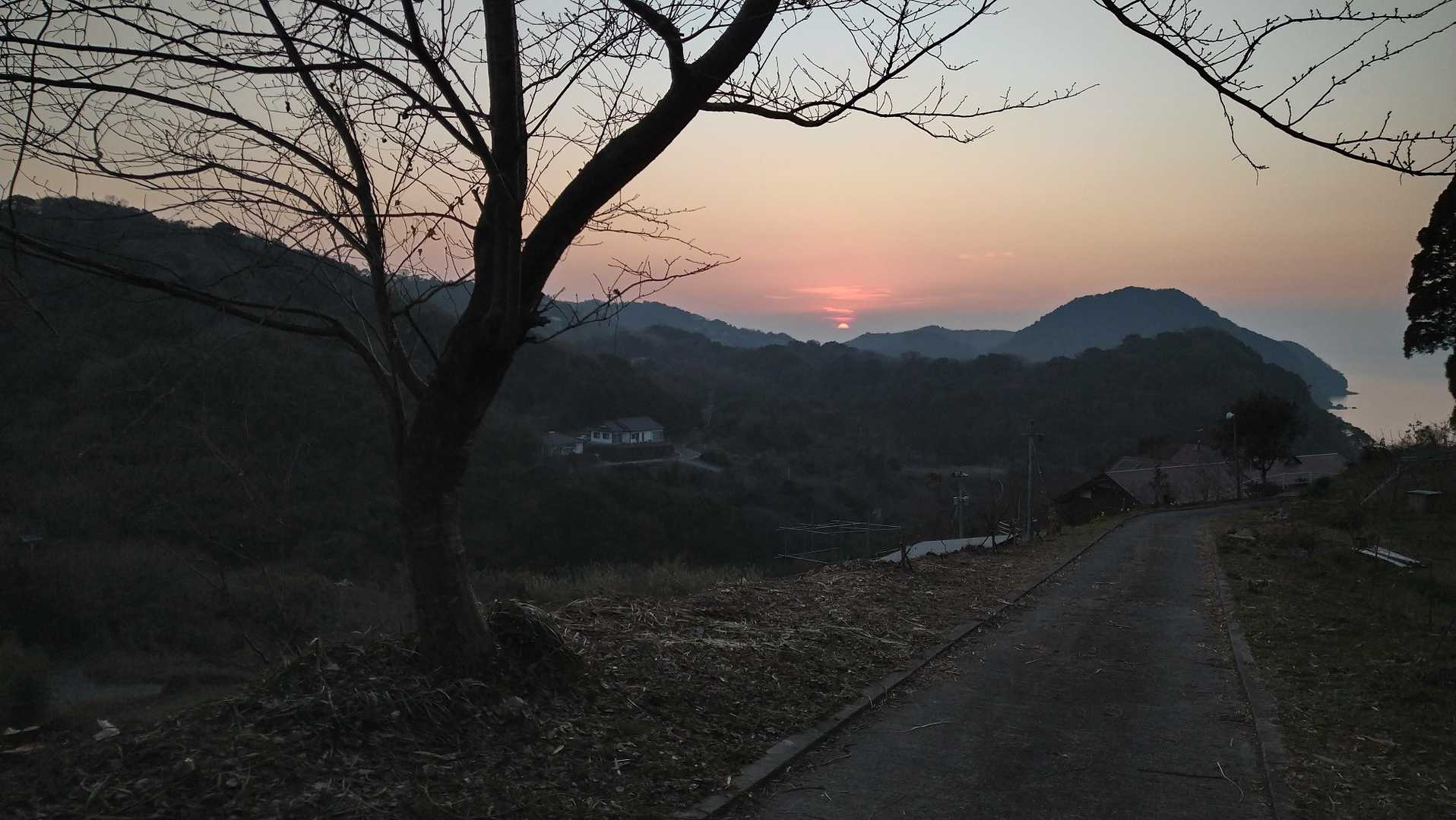 柴尾山 往復コースの写真