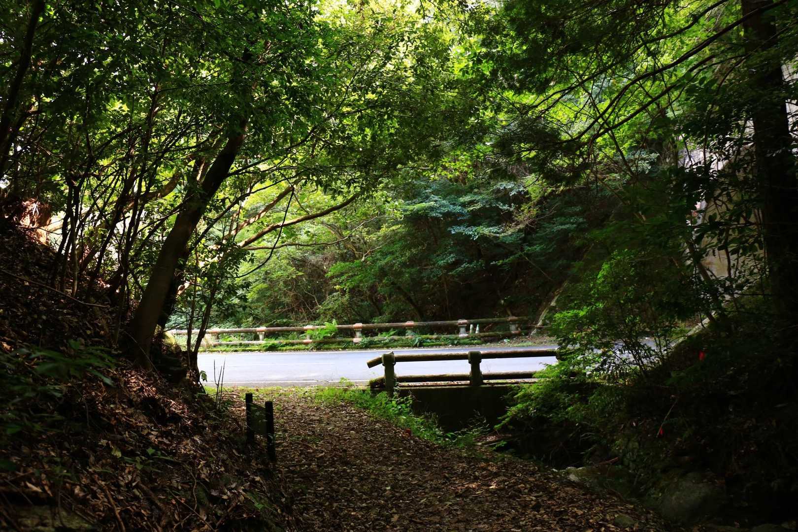 あっという間に下山！
ありがとうございます😊