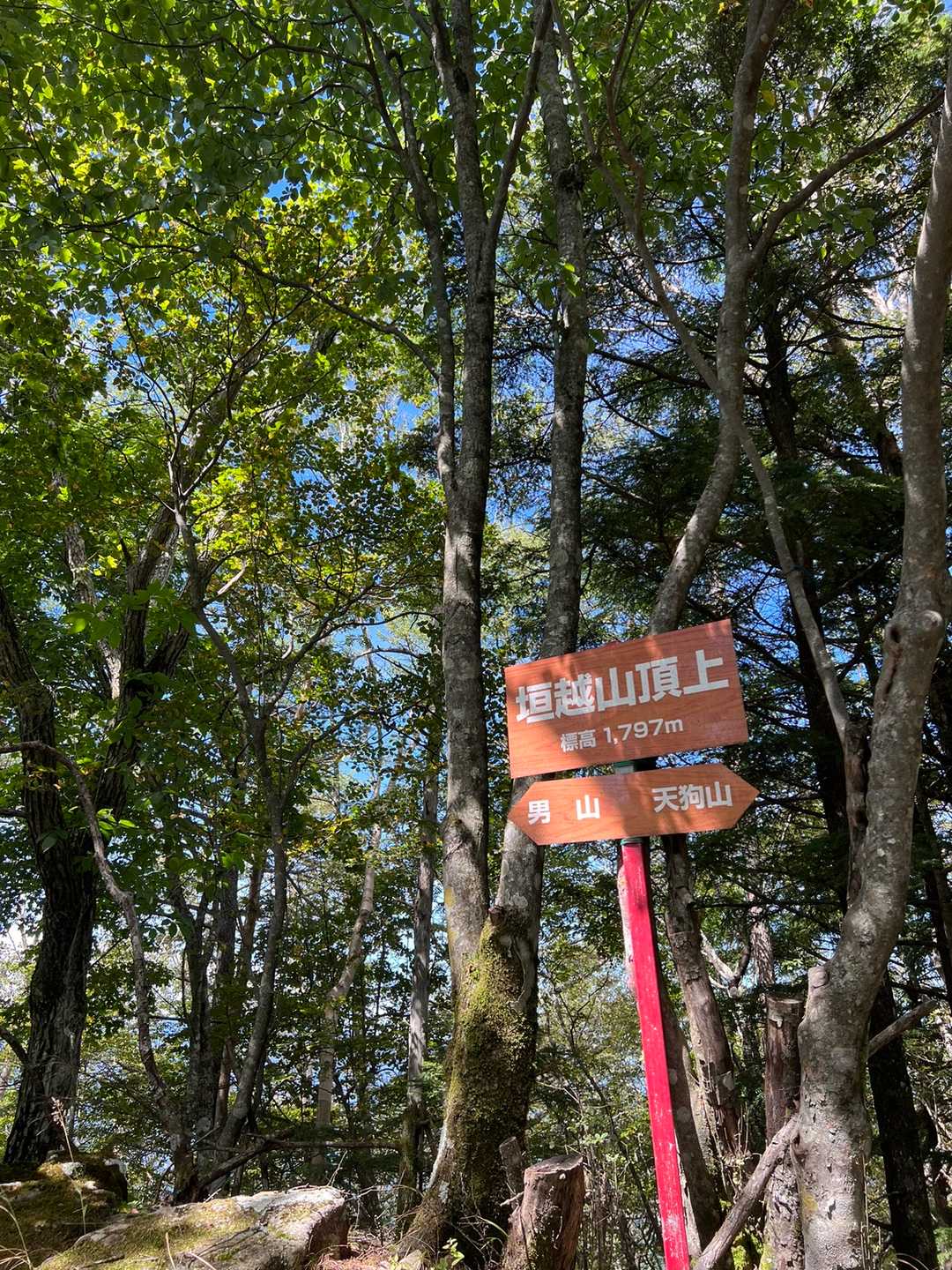 垣越山！眺望はないけど木漏れ日が差して気持ち良く休憩ポイントでした