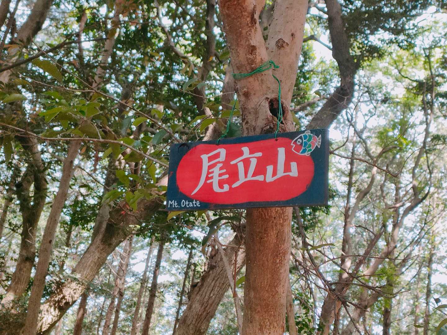 目立つ方の山頂標識
ルートは幾つかありそう