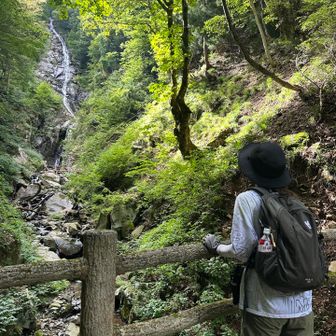 立派ねー✨