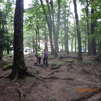 瑞牆山荘が見えてきました