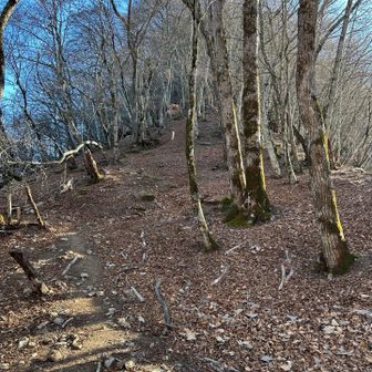 まだまだ登りが💪