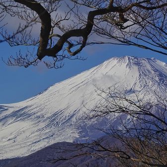 額縁を撮りたくて足が止まらさるよ📸
