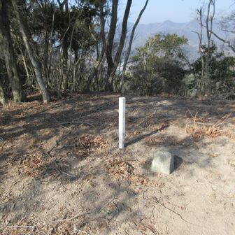 山頂ちかくも急登だった