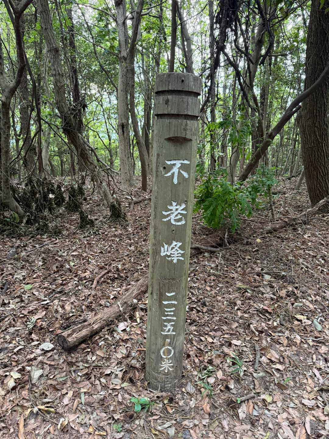 金剛峰-日吉神社 周回コースの写真