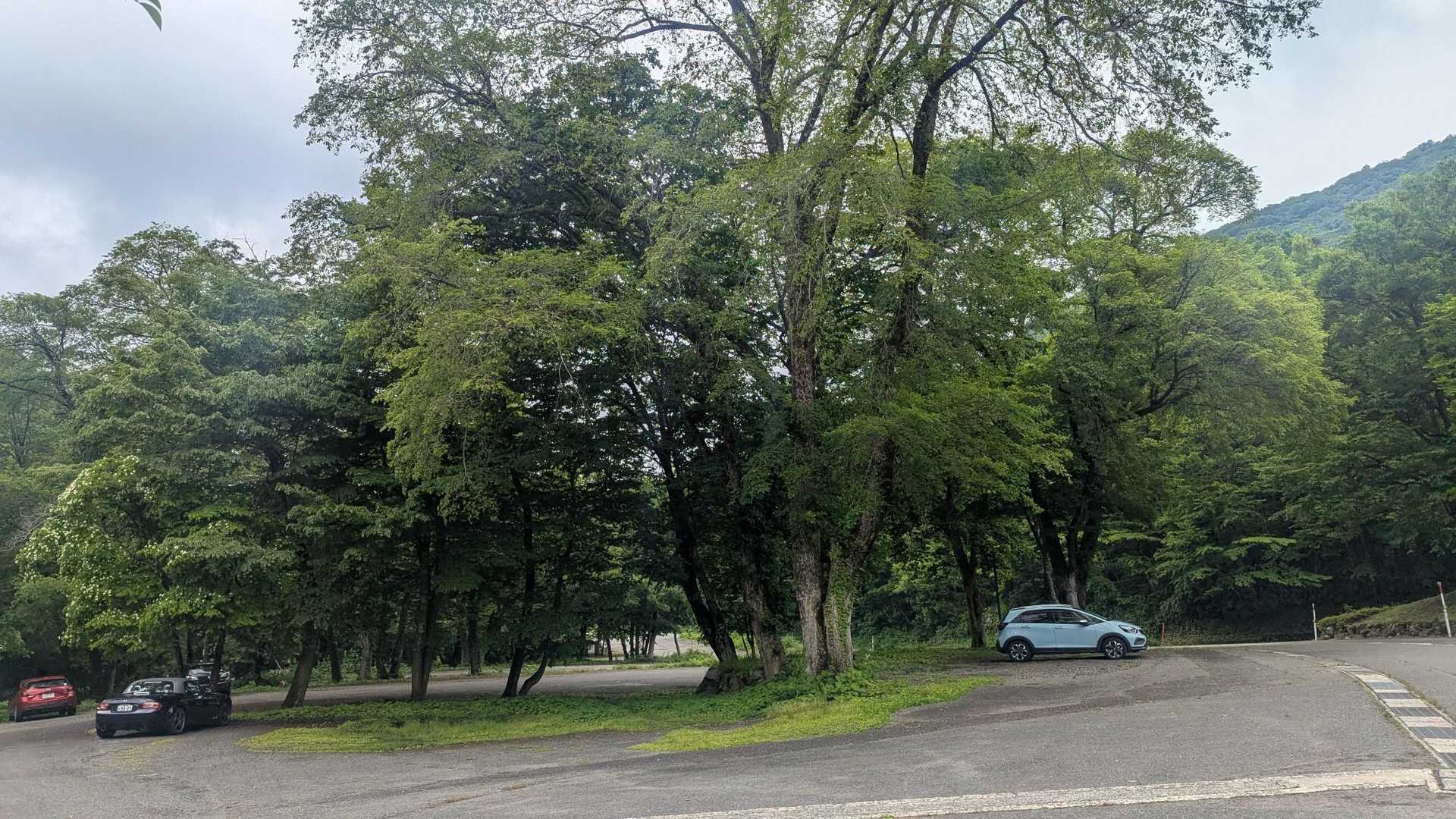 朝から雨だからほぼ誰も駐車してません