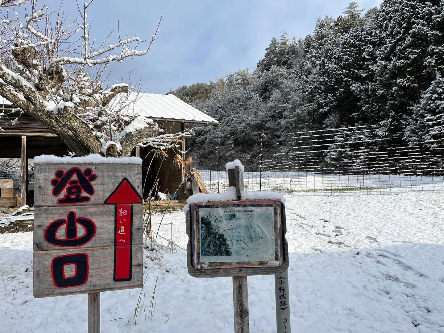 気が付けば登山口に