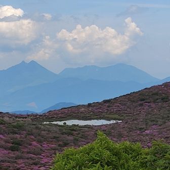 米窪辺りに幻の池出現😍‼️
この前の台風時かなりの雨量あったみたいです‼️